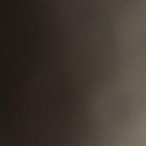 Meet your Posher, Madeleine